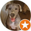 Adam Hackett profile picture